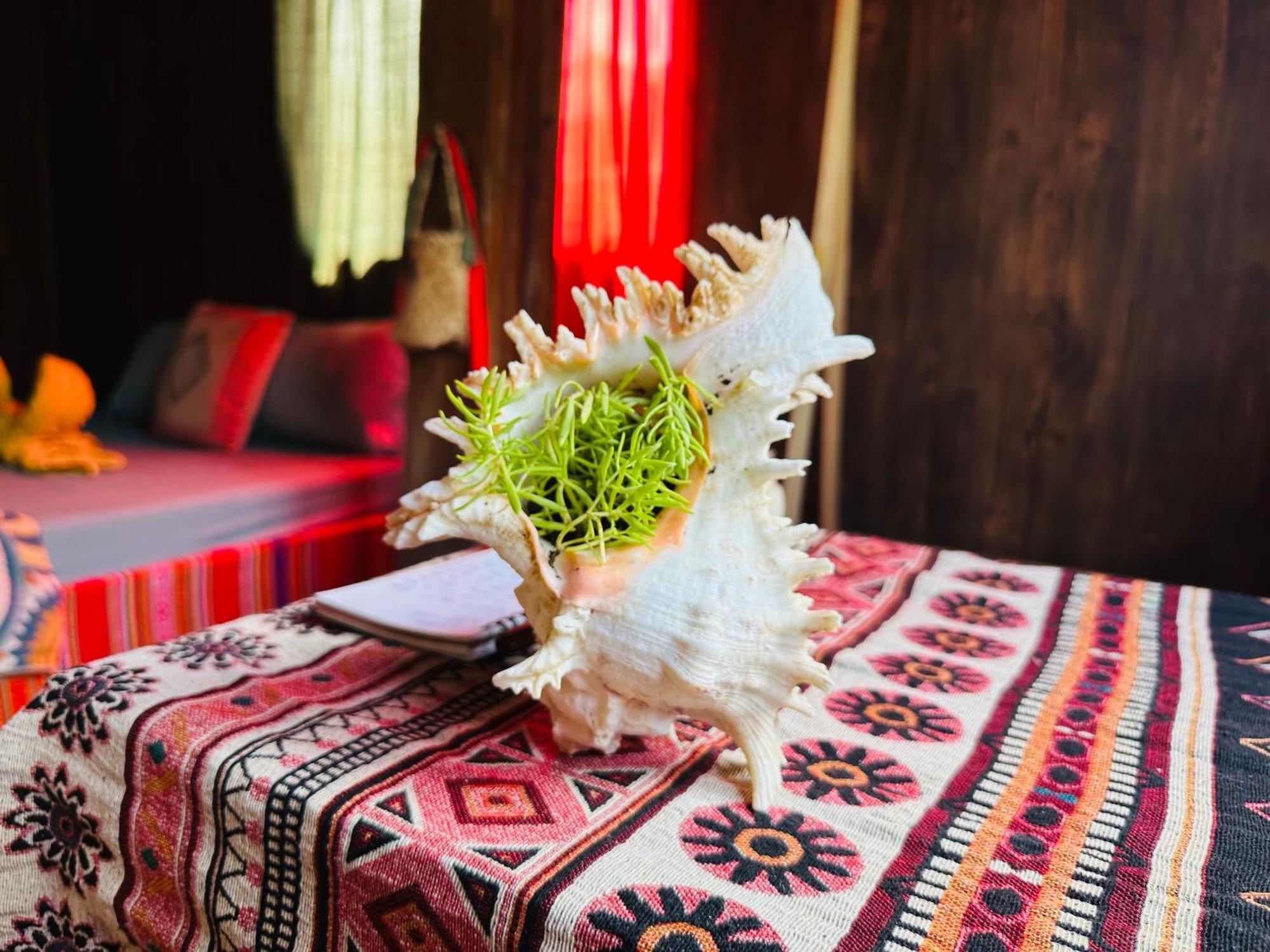 Wild Orchid- Lan Home Làng Cac Exteriér fotografie
